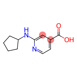 2-(环戊基氨基)异烟酸