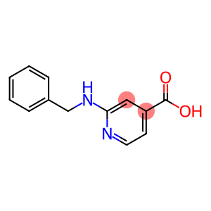 2-(Benzylamino)isonicotinic acid