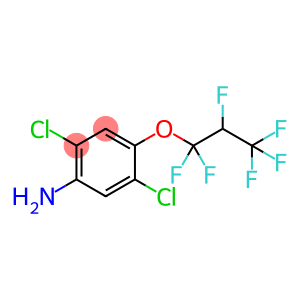 2,5-dichloro-4-(1,1,2,3,3,3-hexafluoropropoxy)aniline