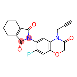 2-[7-Fluor-3-oxo-4-(prop-2-in-1-yl)-3,4-dihydro-2H-1,4-benzoxazin-6-yl]-4,5,6,7-tetrahydro-1H-isoindol-1,3(2H)-dion