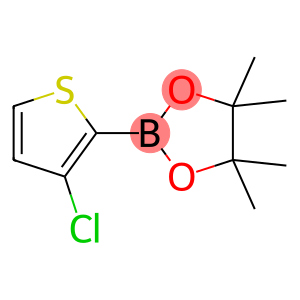 2-(3-Chlorothiophen-2-yl)-4,4,5,5-tetraMethyl-1,3,2-dioxaborolane
