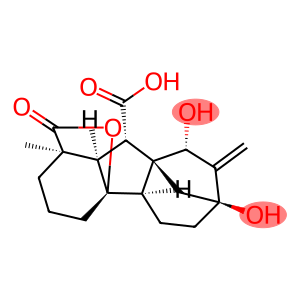 15β-Hydroxygibberellin A20