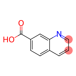 7-喹啉羧酸