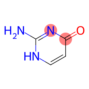 isocytosine