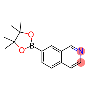 7-(4,4,5,5-TETRAMETHYL-1,3,2-DIOXABOROLAN-2-YL)ISOQUINOLINE