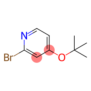 2-溴-4-(叔丁氧基)吡啶