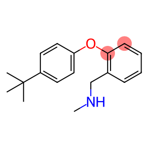N-[2-(4-tert-Butylphenoxy)benzyl]-N-methylamine