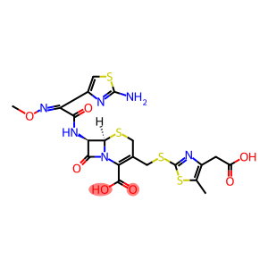 5-Thia-1-azabicyclo[4.2.0]oct-2-ene-2-carboxylic acid, 7-[[(2-amino-4-thiazolyl)(methoxyimino)acetyl]amino]-3-[[[4-(carboxymethyl)-5-methyl-2-thiazolyl]thio]methyl]-8-oxo-, [6R-[6α,7β(Z)]]- (9CI)