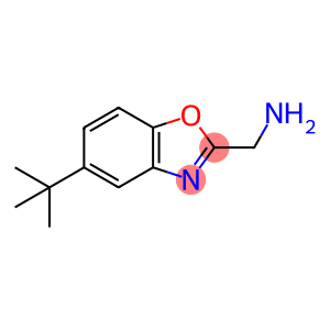 1-(5-tert-butyl-1,3-benzoxazol-2-yl)methanamine