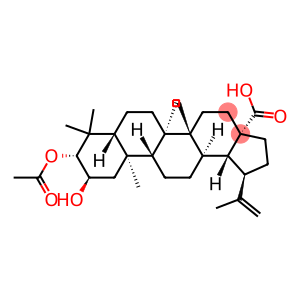 2alpha-hydroxy-3beta-acetoxy-19beta-hydrogen-lup-20(29)-en-28-oic acid