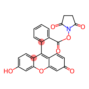5(6)-carboxyfluorescein N-succinimidyl ester,mixt.of isom.