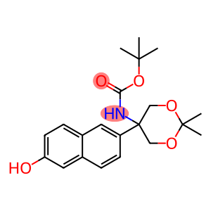 Carbamic acid, N-[5-(6-hydroxy-2-naphthalenyl)-2,2-dimethyl-1,3-dioxan-5-yl]-, 1,1-dimethylethyl ester