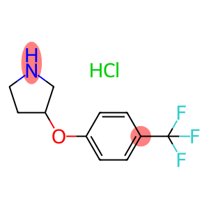 3-[4-(Trifluoromethyl)phenoxy]pyrrolidine hydrochloride