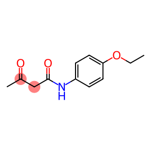 N-(4-Ethoxyphenyl)-3-oxo-butanamide