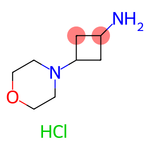 3-Morpholinocyclobutan-1-amine dihydrochloride