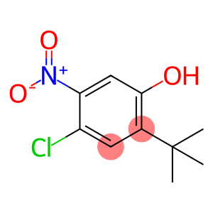 4-chloro-2-(1,1-dimethylethyl)-5-nitroPhenol