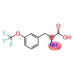 3-(Trifluoromethoxy)-L-phenylalanine