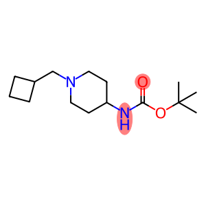 Carbamic acid, N-[1-(cyclobutylmethyl)-4-piperidinyl]-, 1,1-dimethylethyl ester
