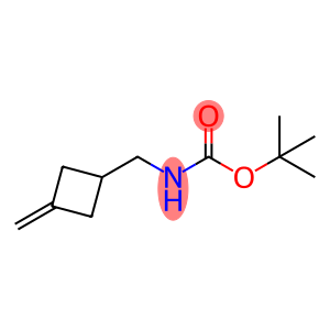 Carbamic acid, N-[(3-methylenecyclobutyl)methyl]-, 1,1-dimethylethyl ester