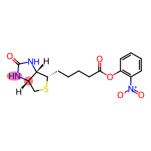 1H-Thieno[3,4-d]imidazole-4-pentanoic acid, hexahydro-2-oxo-, 2-nitrophenyl ester, (3aS,4S,6aR)-