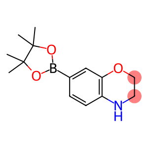 3,4-dihydro-1H-1,4-benzoxazine-7-boronic acid pinacol ester
