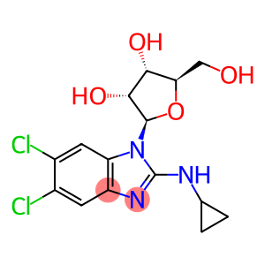 5,6-Dichloro-N-cyclopropyl-1-β-D-ribofuranosyl-1H-benzimidazol-2-amine