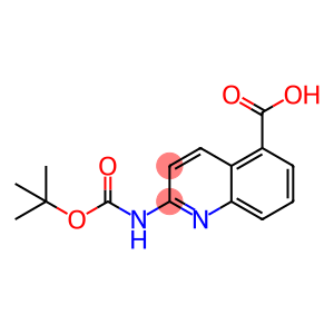 2-((tert-butoxycarbonyl)amino)quinoline-5-carboxylic acid