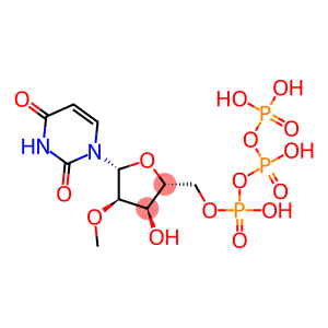 5'-(tetrahydrogen triphosphate), 2'-O-methyl-Uridine