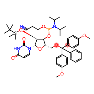 L-RU亚磷酰胺单体