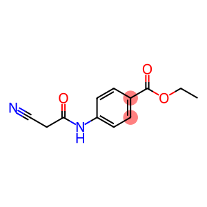 ethyl 4-[(2-cyanoacetyl)amino]benzoate