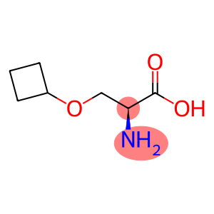 N-Fmoc-L-Ser(Cyclobutyl)-OH