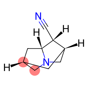 2,6-Methano-1H-pyrrolizine-1-carbonitrile, hexahydro-, [1R-(1α,2β,6β,7aβ)]- (9CI)