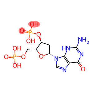 2'-deoxyguanosine 3',5'-diphosphate