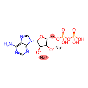 Adenosine-5-diphosphate disodium salt