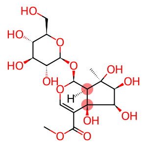 Cyclopenta[c]pyran-4-carboxylic acid, 1-(β-D-glucopyranosyloxy)-1,4a,5,6,7,7a-hexahydro-4a,5,6,7-tetrahydroxy-7-methyl-, methyl ester, (1S,4aR,5R,6S,7R,7aS)-