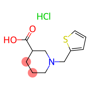 1-噻吩-2-甲基哌啶-3-羧酸盐酸盐