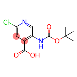 5-((叔丁氧基羰基)氨基)-2-氯异烟酸