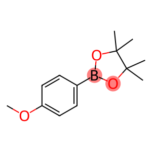 4-(4,4,5,5-Tetramethyl-1,3,2-dioxaborolan-2-yl)anisole