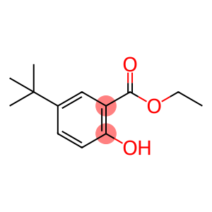 Benzoic acid, 5-(1,1-diMethylethyl)-2-hydroxy-, ethyl ester