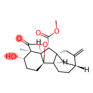 2β-Hydroxy-1-methyl-8-methylene-4aα,1α-(oxycarbonyl)gibbane-10β-carboxylic acid methyl ester