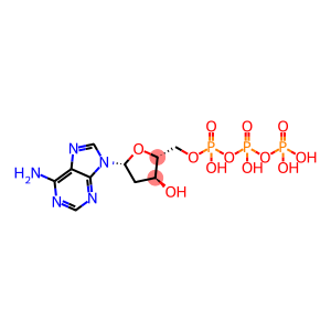 2'-脱氧腺苷 5'-三磷酸酯