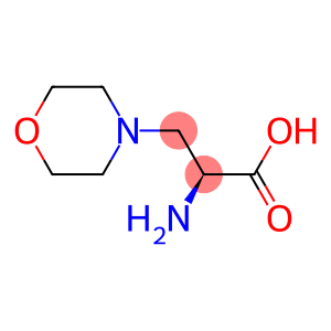 (S)-2-aMino-3-Morpholinopropanoic acid