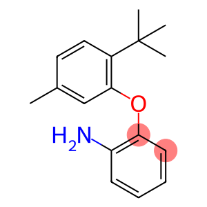 2-Aminophenyl(2-tert-butyl-5-methylphenyl) ether