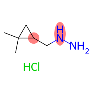 [(2,2-dimethylcyclopropyl)methyl]hydrazine hydrochloride
