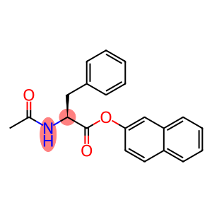 n-acetyl-dl-phenylalanine β-naphthyl ester