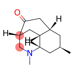 3,5-Ethanoquinolin-10-one, decahydro-1,7-dimethyl-, (3R,4aR,5S,7R,8aS)-