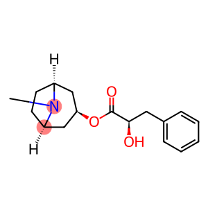 阿托品杂质7((R)-(-)-LITTORINE)