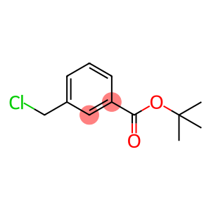 3-(chloromethyl)benzoic acid tert-butyl ester