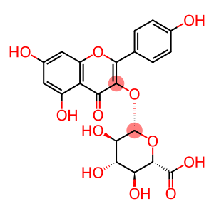 5,7-Dihydroxy-2-(4-hydroxyphenyl)-4-oxo-4H-1-benzopyran-3-yl-beta-D-glucopyranosiduronic acid