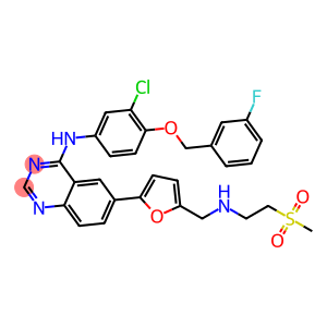 Lapatinib  Base  N-[3-chloro-4-[(3-fluorophenyl)methoxy]phenyl]-6-[5-[[[2-(methylsulfonyl)ethyl]amino]methyl]-2-furanyl]-4-Quinazolinamine